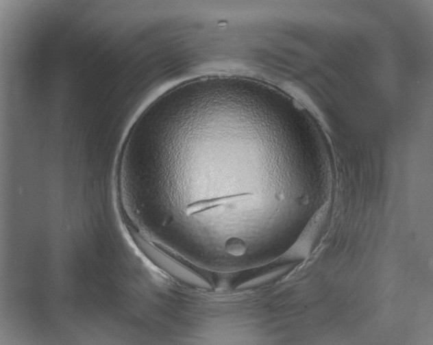 X0000070231440200606021336