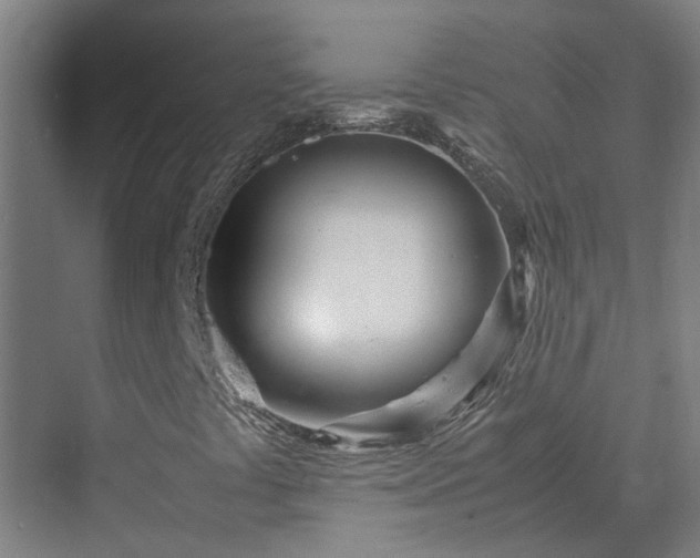 X0000070231441200606021335