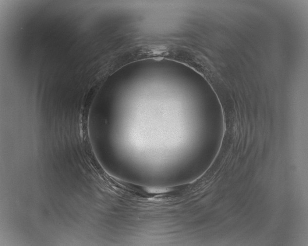 X0000070231442200606021335