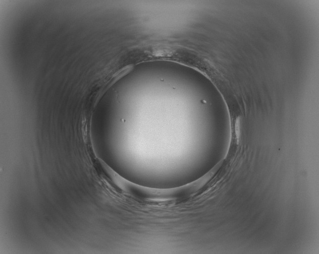 X0000070231443200606021335