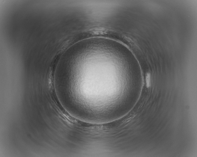 X0000070231444200606021335