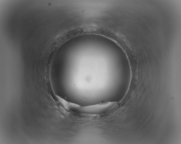 X0000070231445200606021335