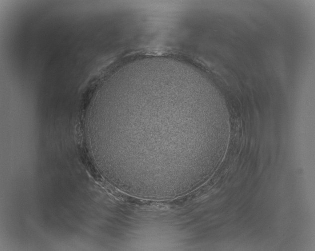 X0000070231446200606021335