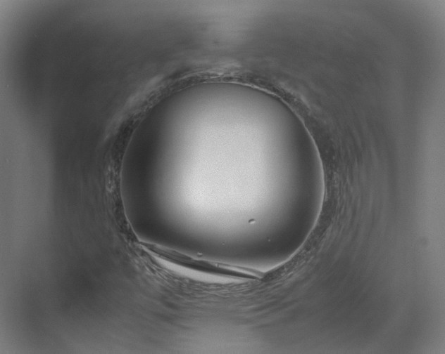 X0000070231447200606021335