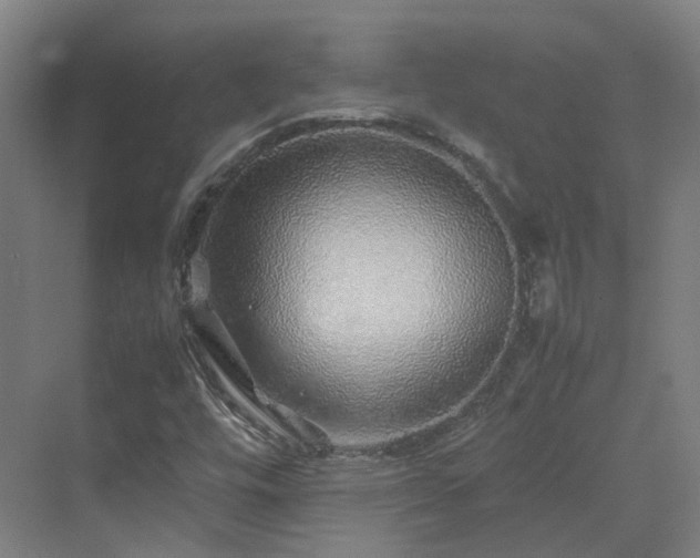 X0000070231448200606021335