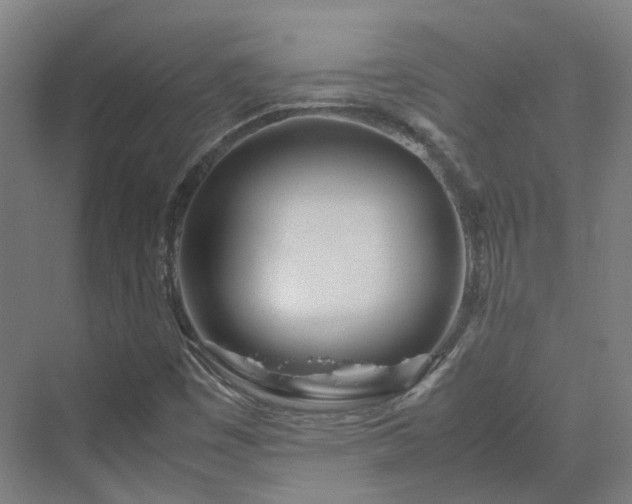 X0000070231449200606021335