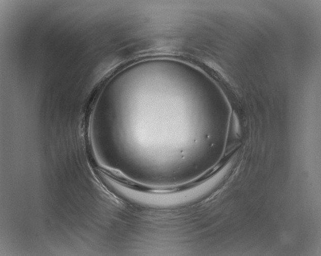 X0000070231450200606021335