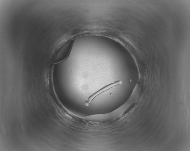 X0000070231451200606021335