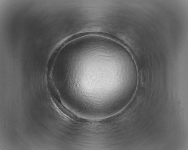 X0000070231452200606021335