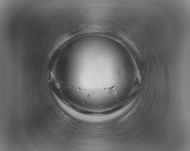 X0000070231453200606021335