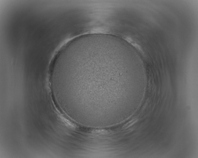 X0000070231454200606021335