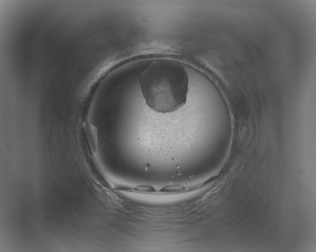 X0000070231455200606021335