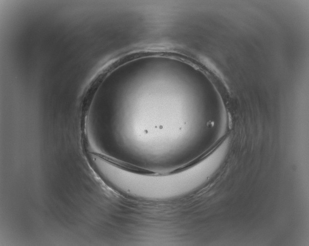 X0000070231456200606021335