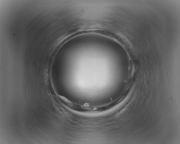 X0000070231457200606021335