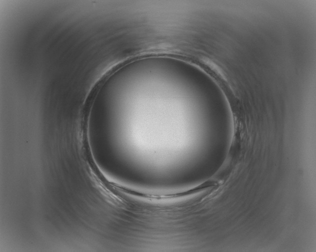 X0000070231458200606021335