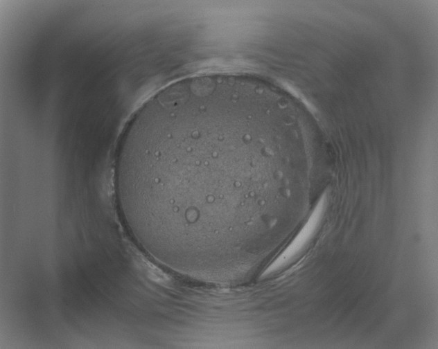 X0000070231459200606021335