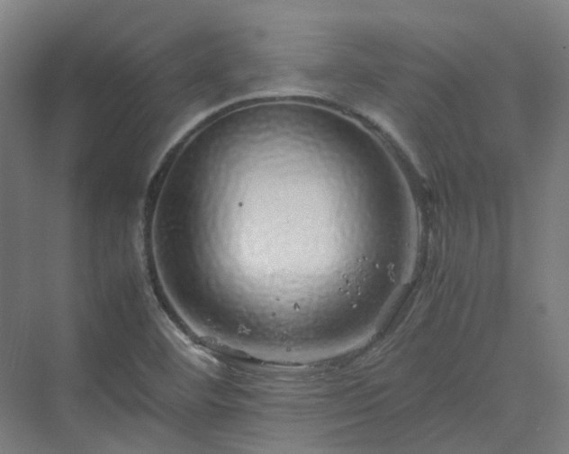 X0000070231460200606021335