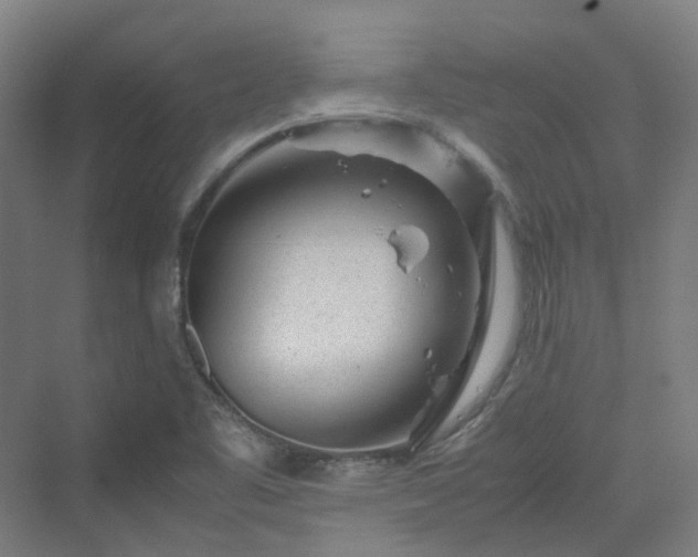 X0000070231461200606021335