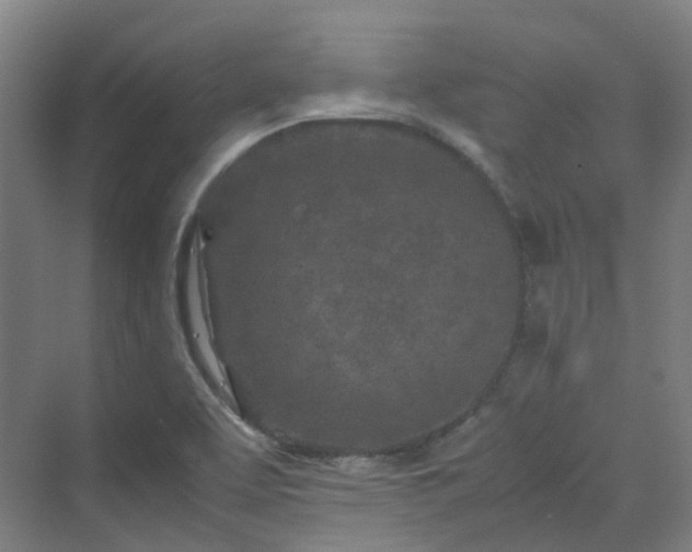 X0000070231463200606021334