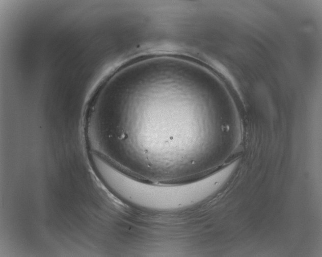 X0000070231464200606021334