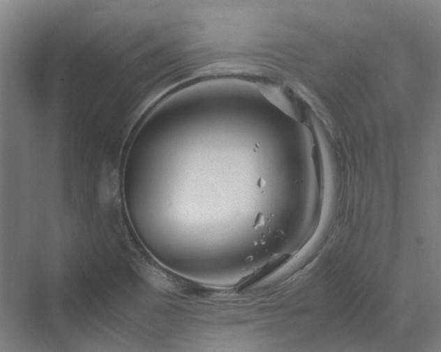 X0000070231465200606021334