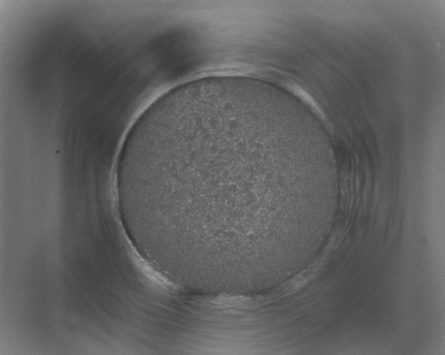 X0000070231466200606021334