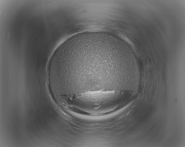 X0000070231467200606021334