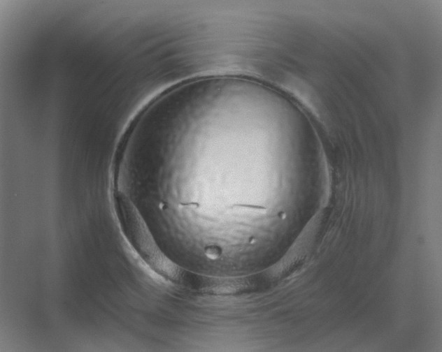 X0000070231468200606021334