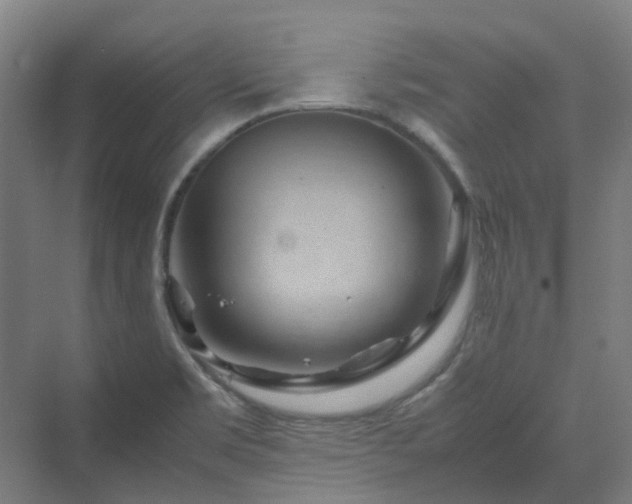 X0000070231469200606021334