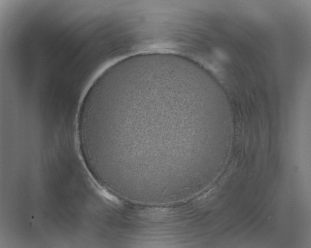 X0000070231470200606021334