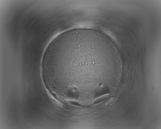 X0000070231471200606021334