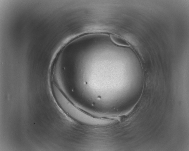 X0000070231472200606021334