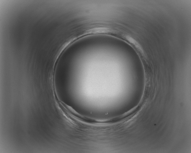 X0000070231473200606021334