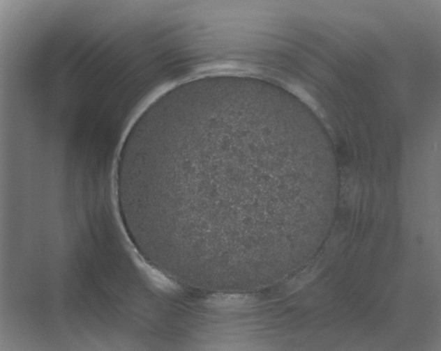 X0000070231474200606021334