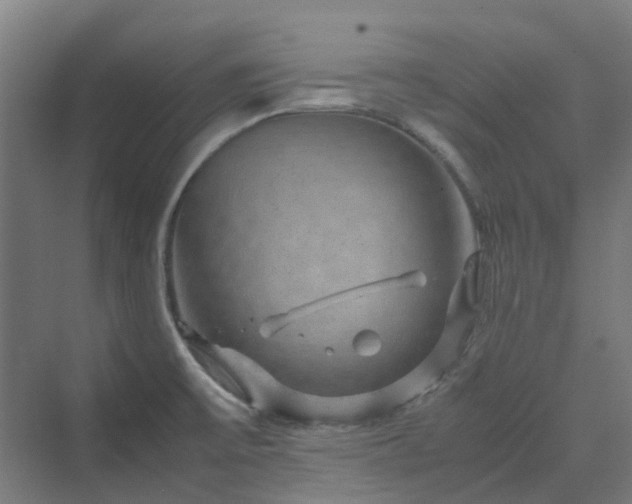 X0000070231475200606021334