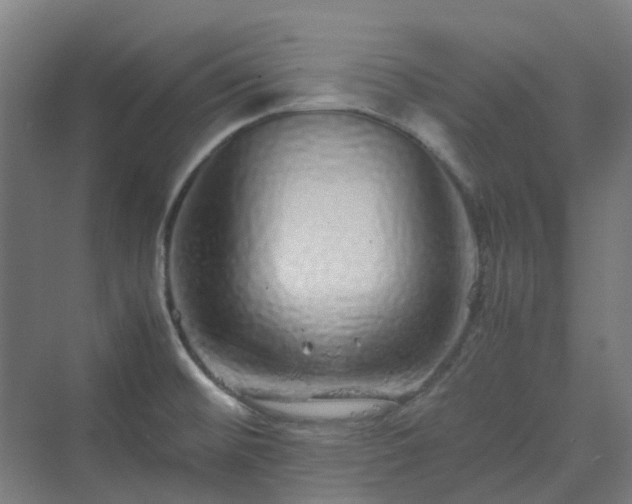 X0000070231476200606021334