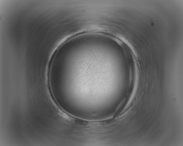 X0000070231477200606021334