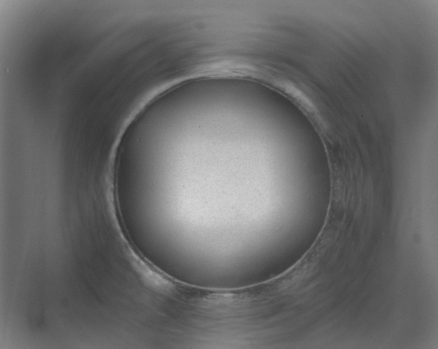 X0000070231478200606021334