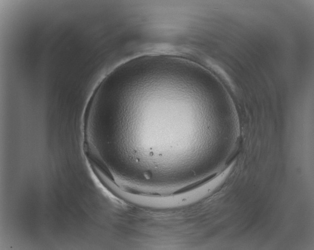 X0000070231479200606021334