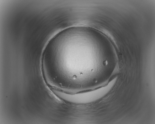 X0000070231480200606021334