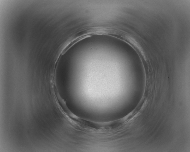 X0000070231481200606021334