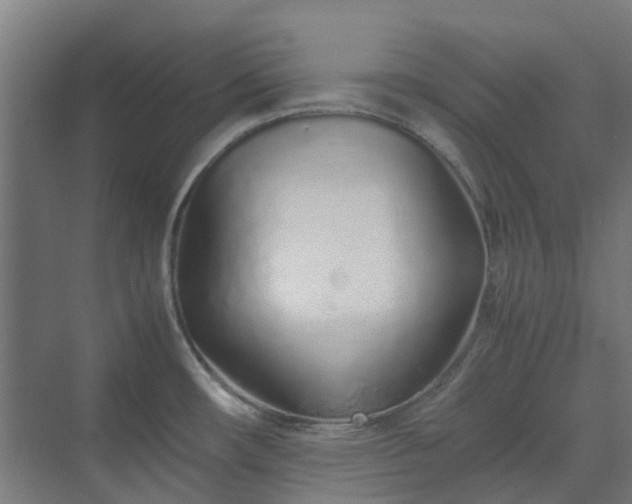 X0000070231482200606021334