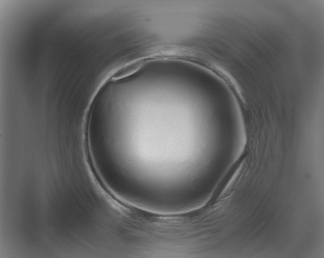 X0000070231483200606021334