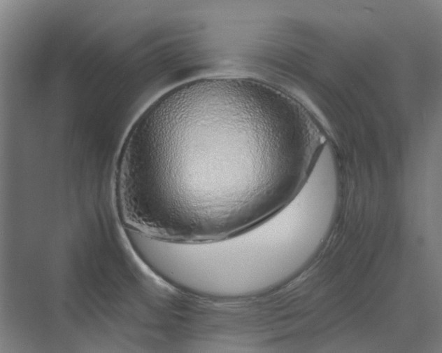 X0000070231484200606021334