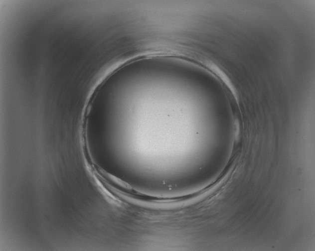 X0000070231485200606021334