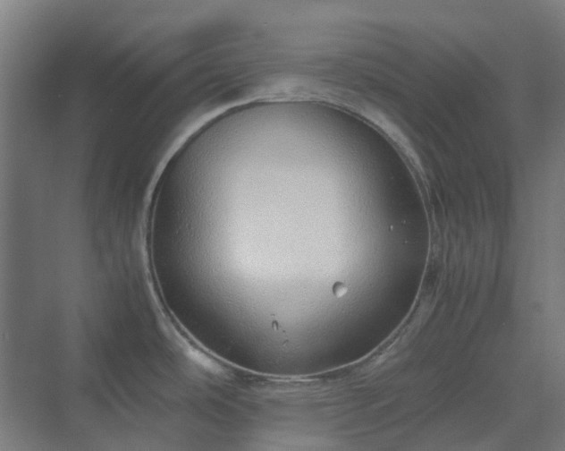 X0000070231486200606021334