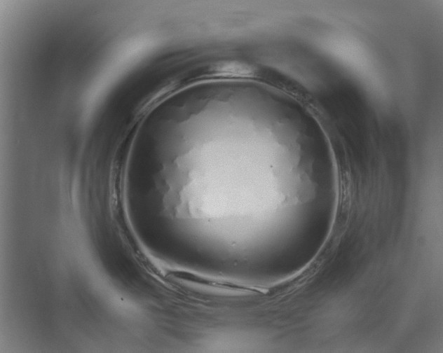 X0000070231487200606021334