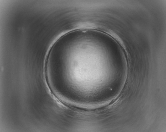 X0000070231488200606021334