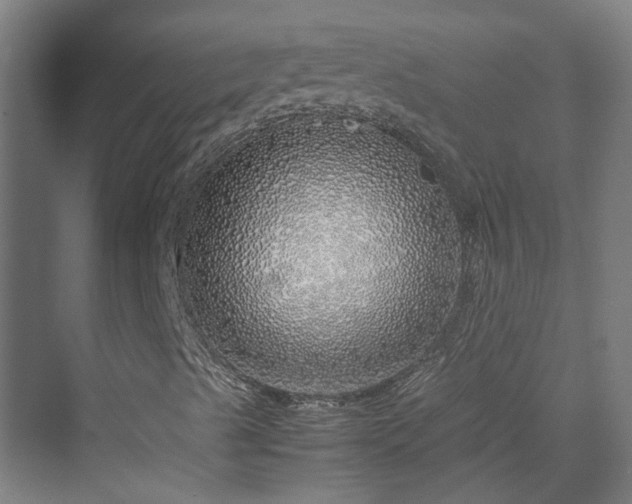 X0000070231489200606021333