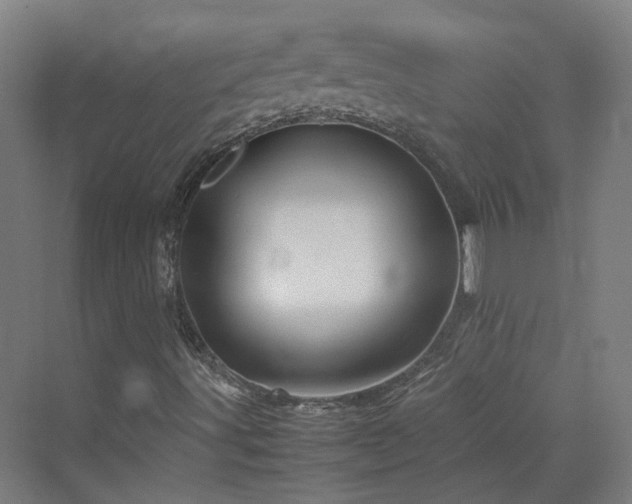 X0000070231491200606021333